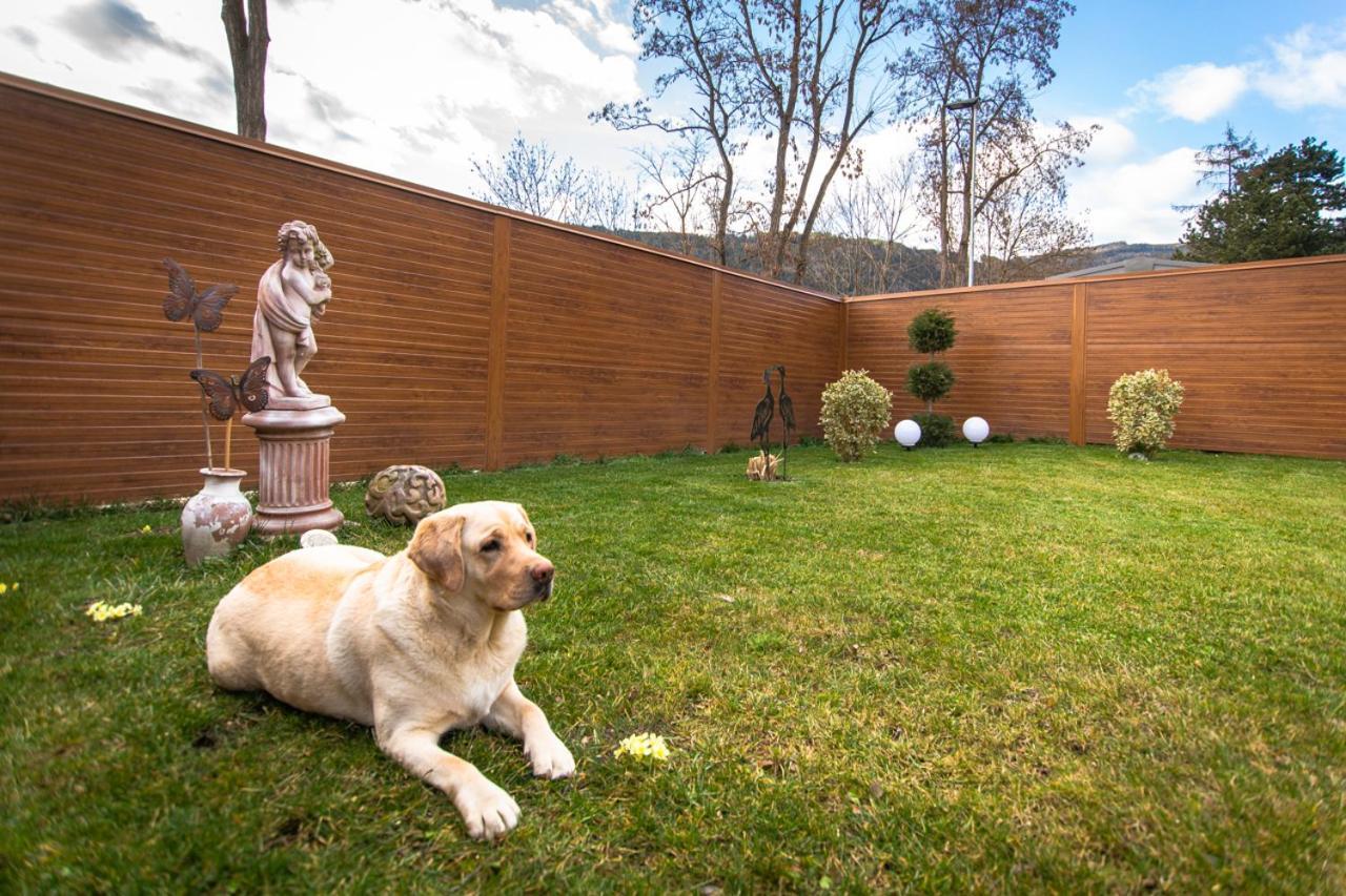 Auszeit Steiraland 3 Mit Ueberdachter Terasse Privatem Garten Und Gratis Parkplatz Leoben  Exterior foto